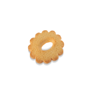 Canestrello copia