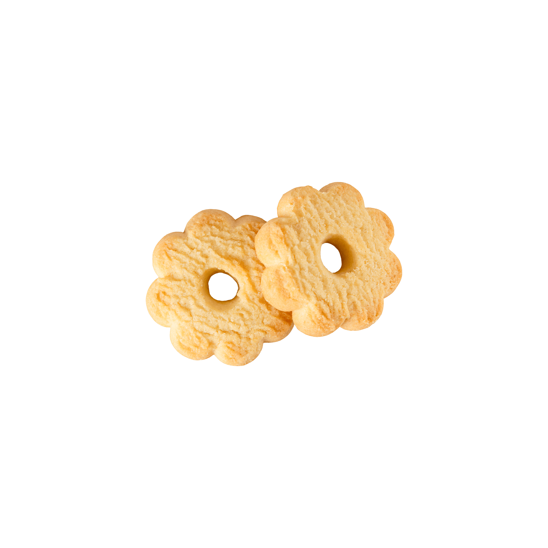 Canestrellini